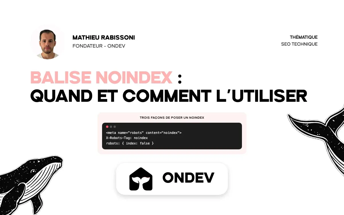 Balise noindex : quand et comment l'utiliser