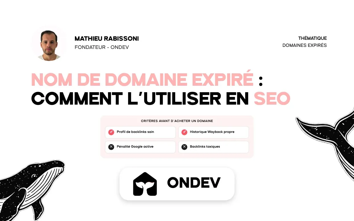 Nom de domaine expiré : pourquoi et comment l'utiliser en SEO