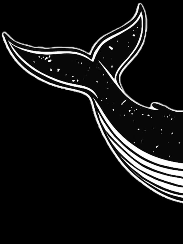 Élément décoratif baleine droite ONDEV